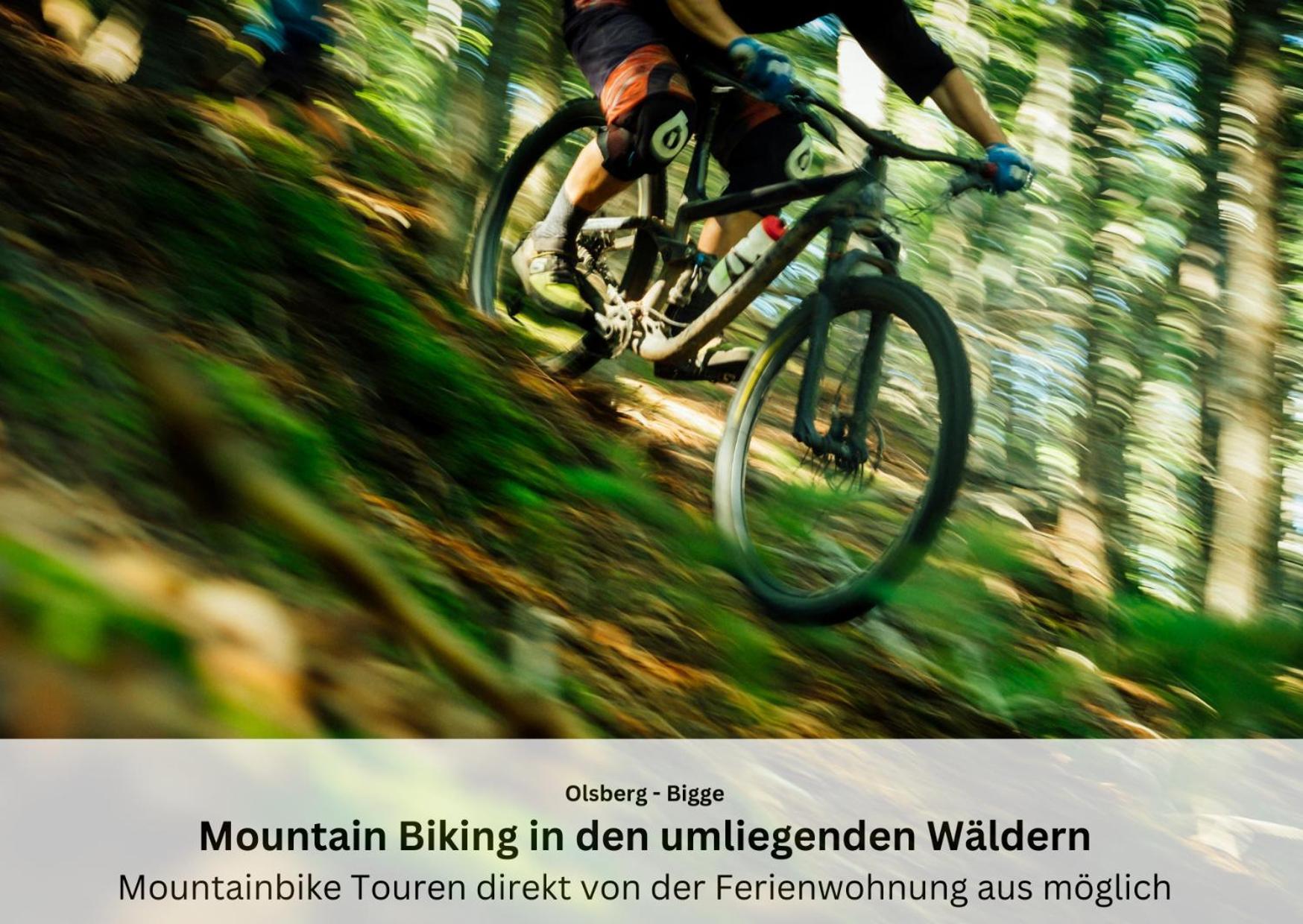Ferienwohnungen Sauerland Und Olsberg Exterior photo